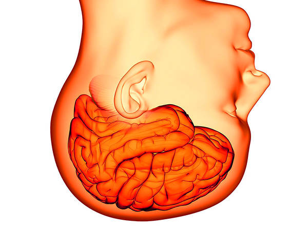 »Ihr seid eure Synapsen!«