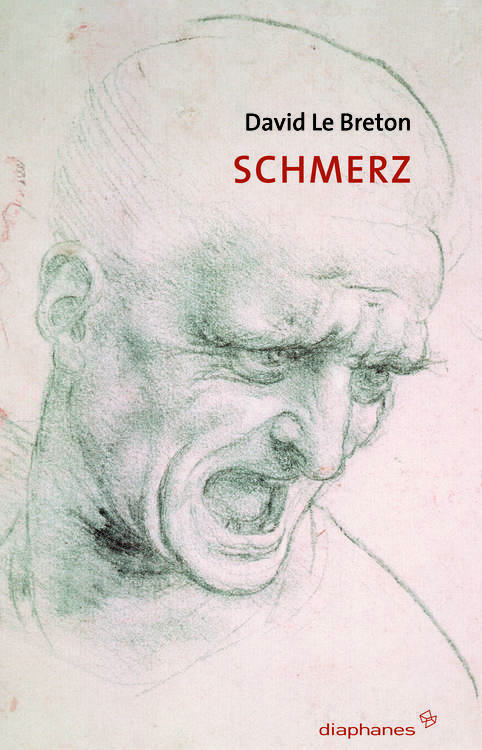David Le Breton: Schmerz
